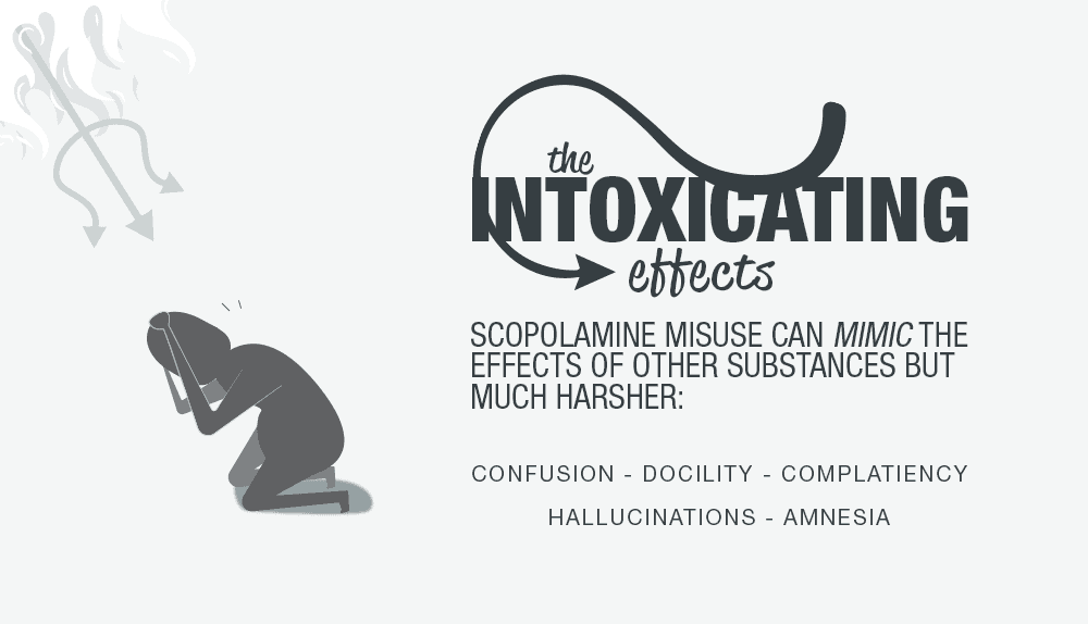 intoxicating effects of scopolamine