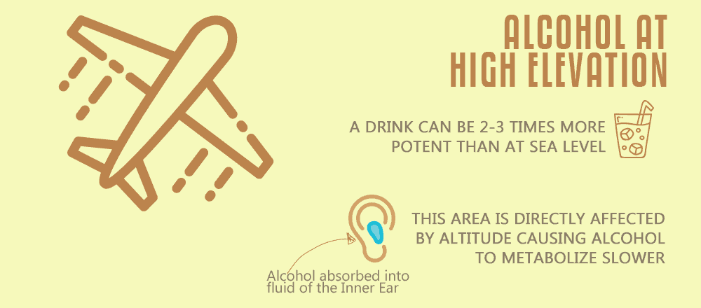 How Alcohol Affects a Pilot