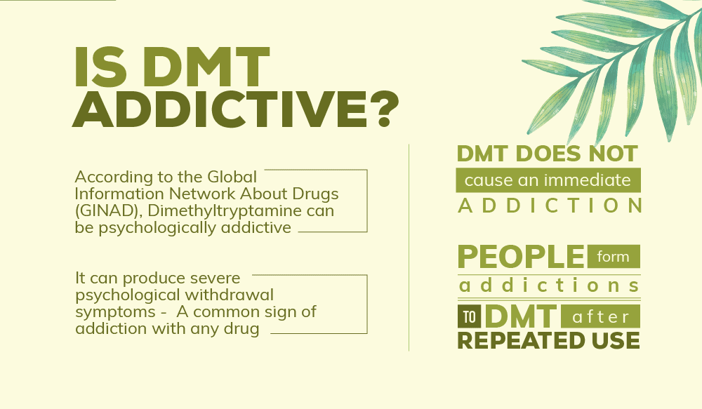Is DMT Addictive
