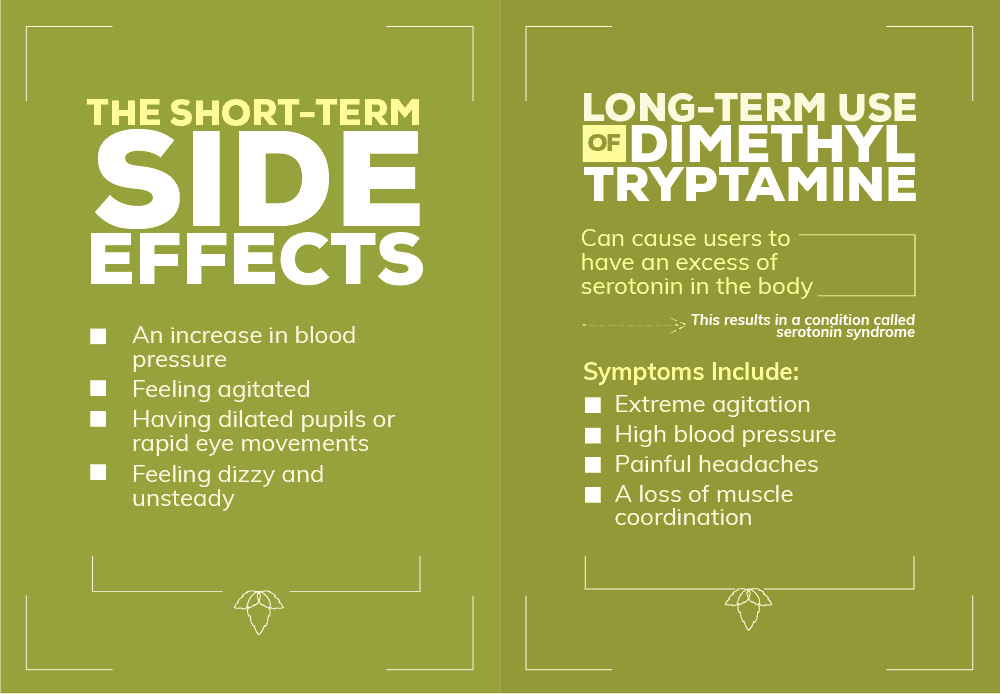 The DMT Drug’s Side Effects