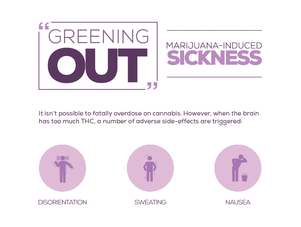 “Greening Out”: Marijuana-Induced Sickness