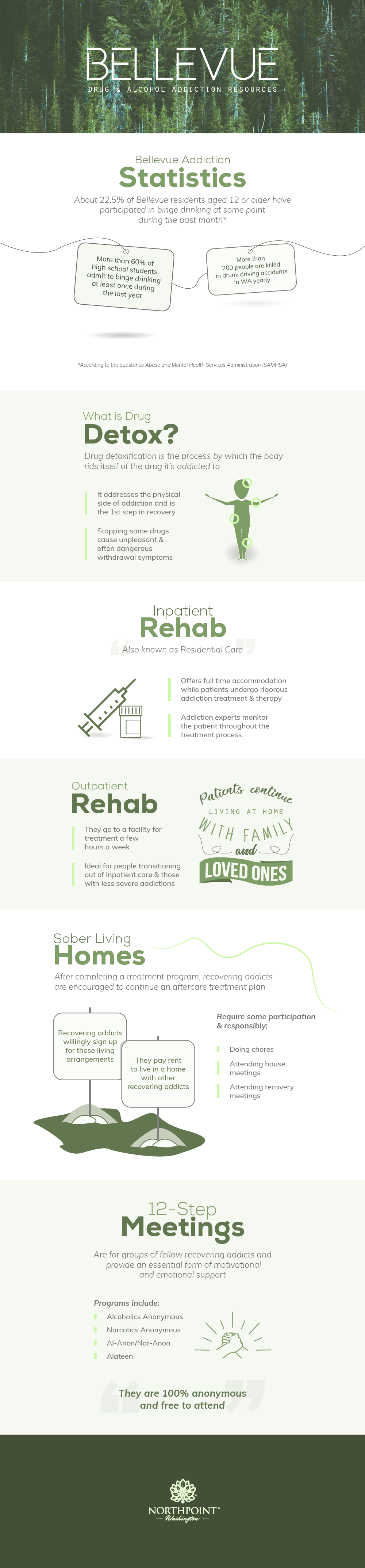Bellevue, Washington Addiction Resources Full Infographic