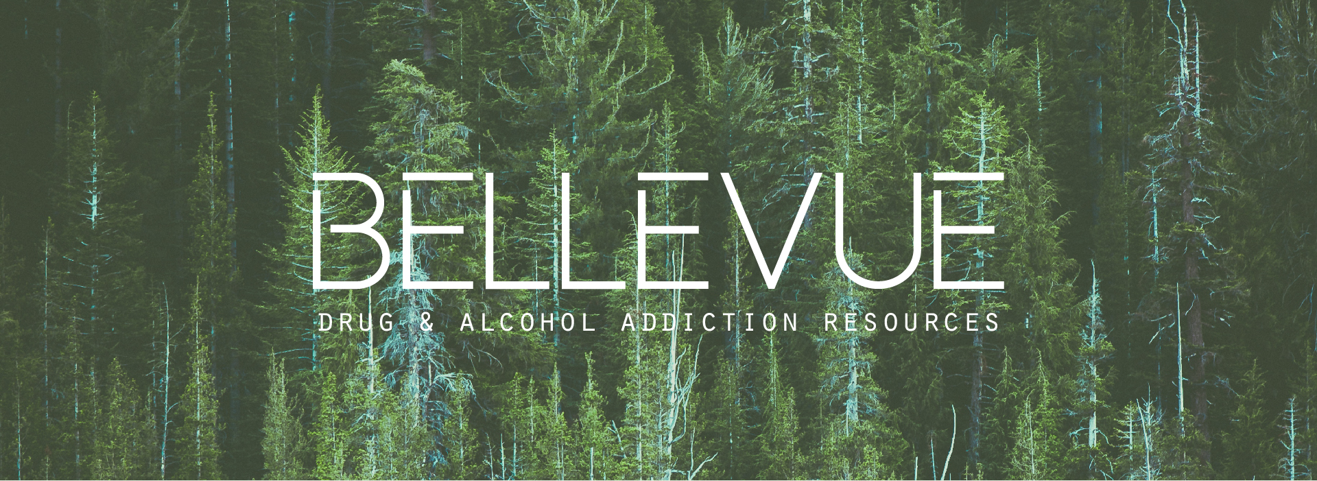 Bellevue, Washington addiction resources