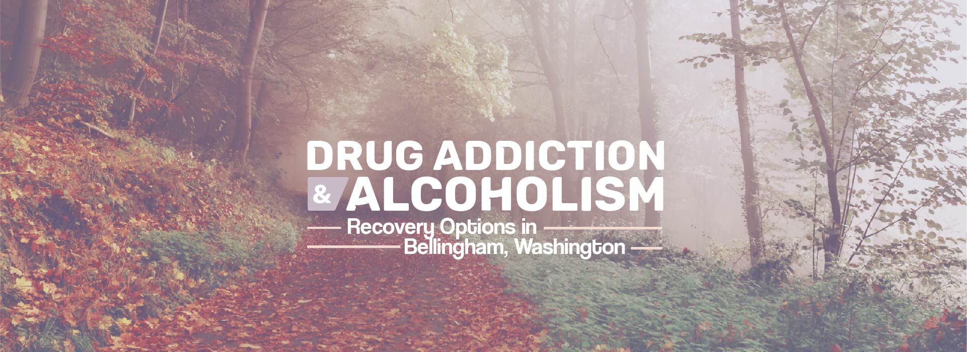 Bellingham, WA Recovery Resources