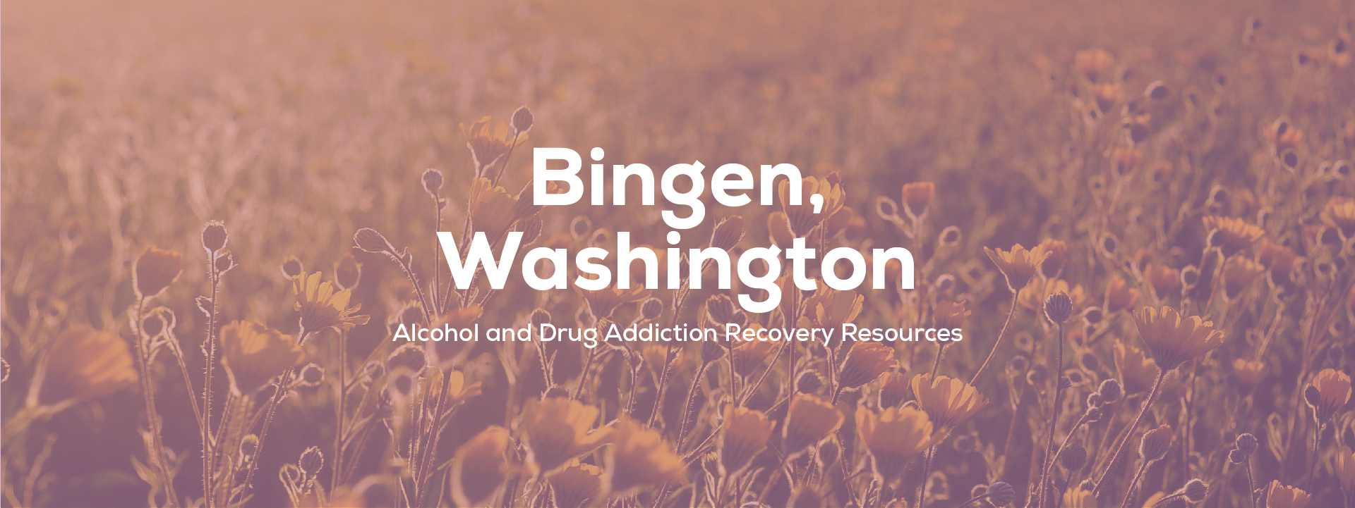 Bingen, Washington addiction resources header