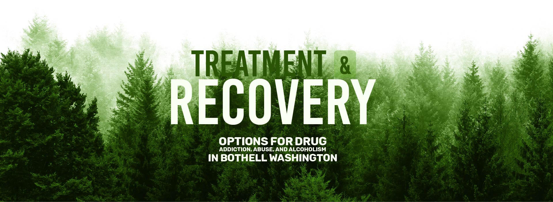 Bothell, Washington Recovery Resources