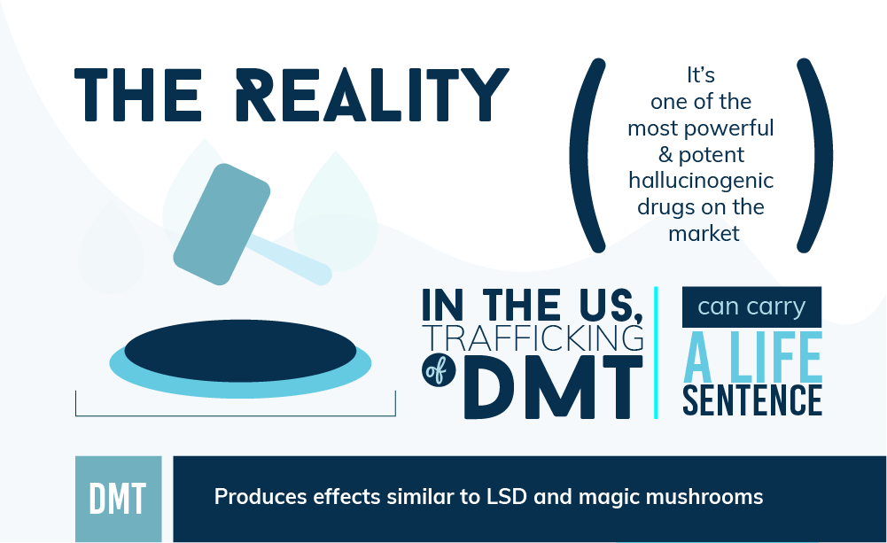DMT Abuse in the US