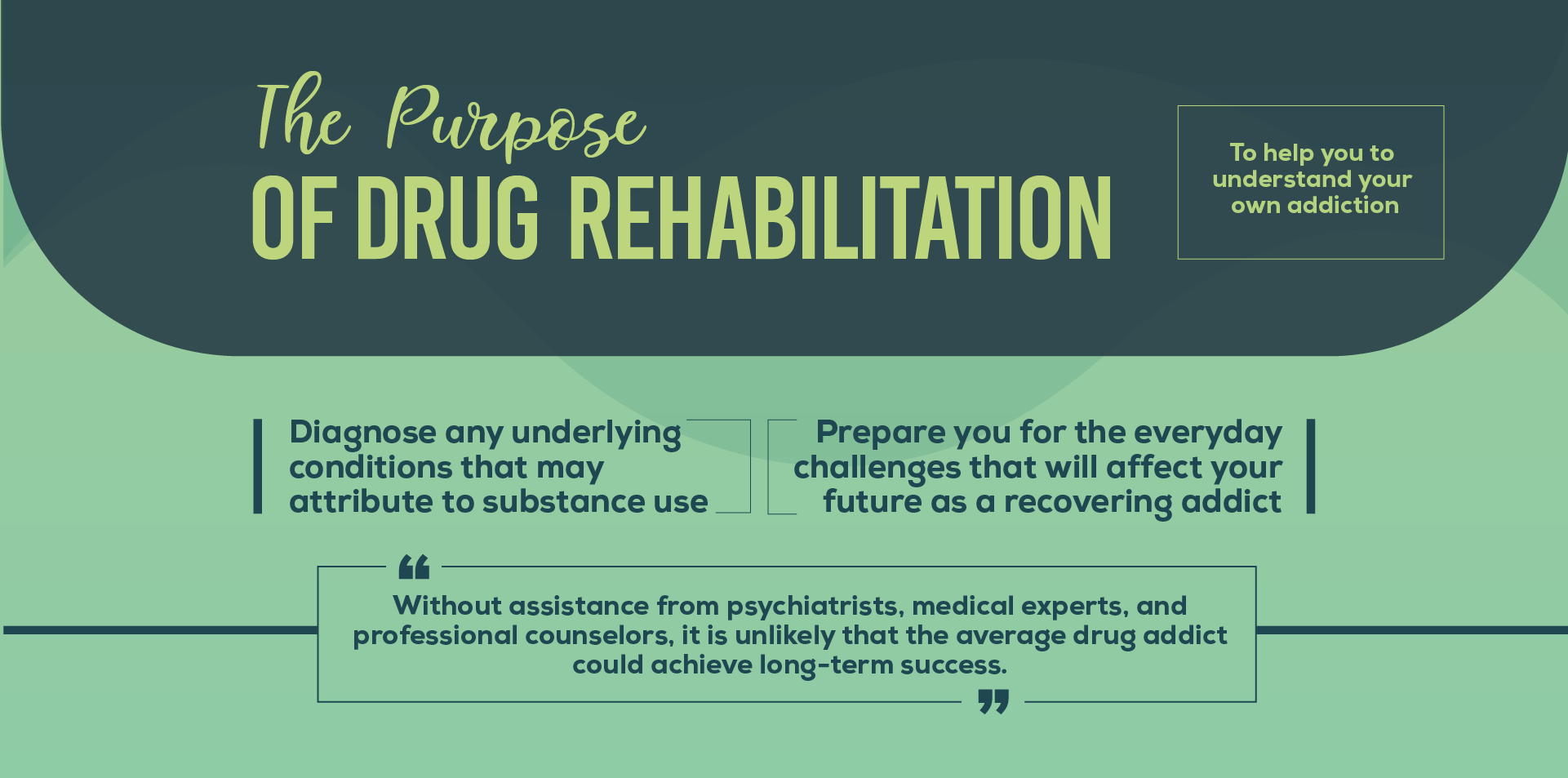 Drug Rehab Guide