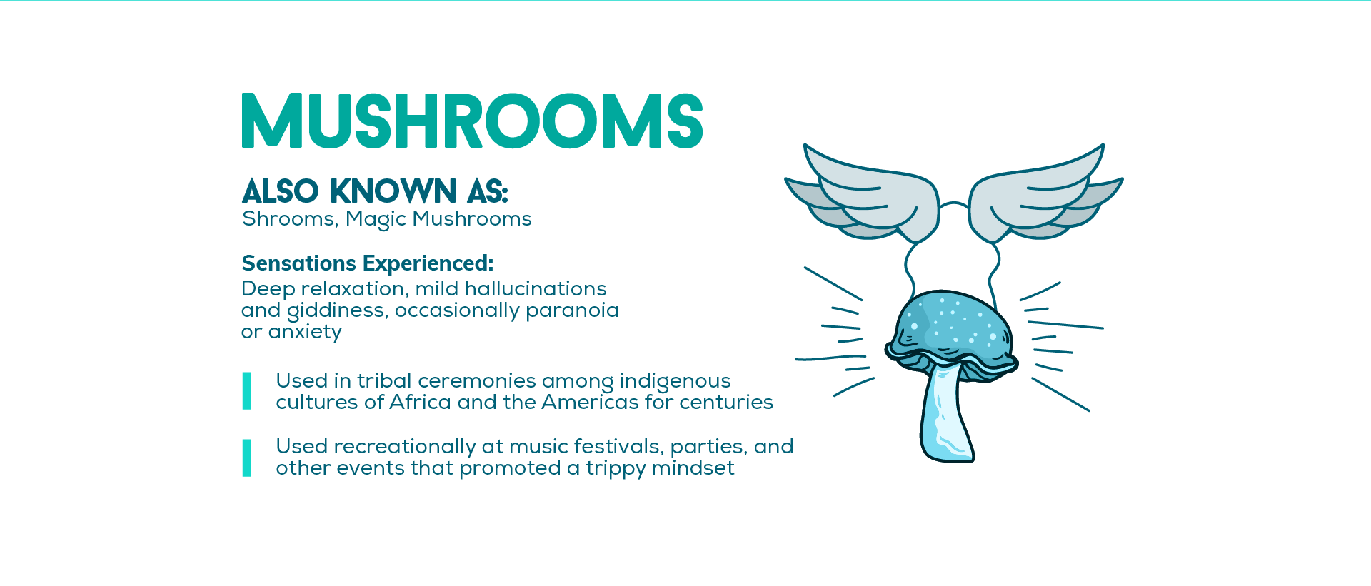 Shrooms in Popular Culture