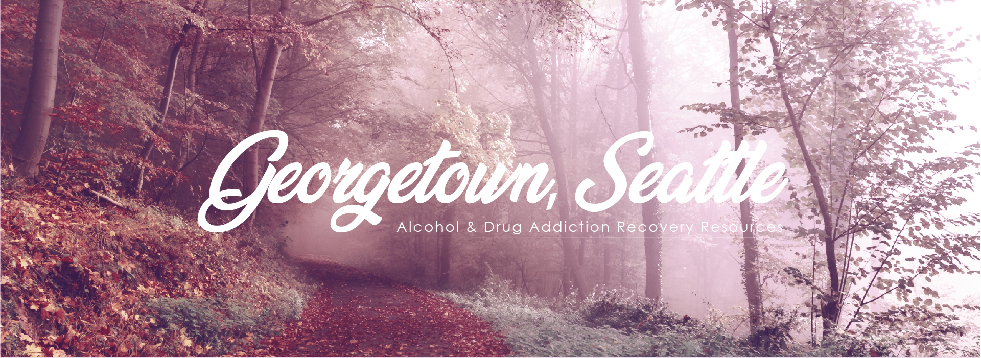 Georgetown, Washington addiction resources