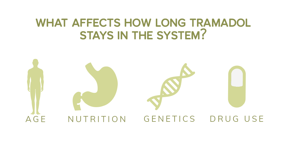 What Affects How Long Tramadol Stays in the System?