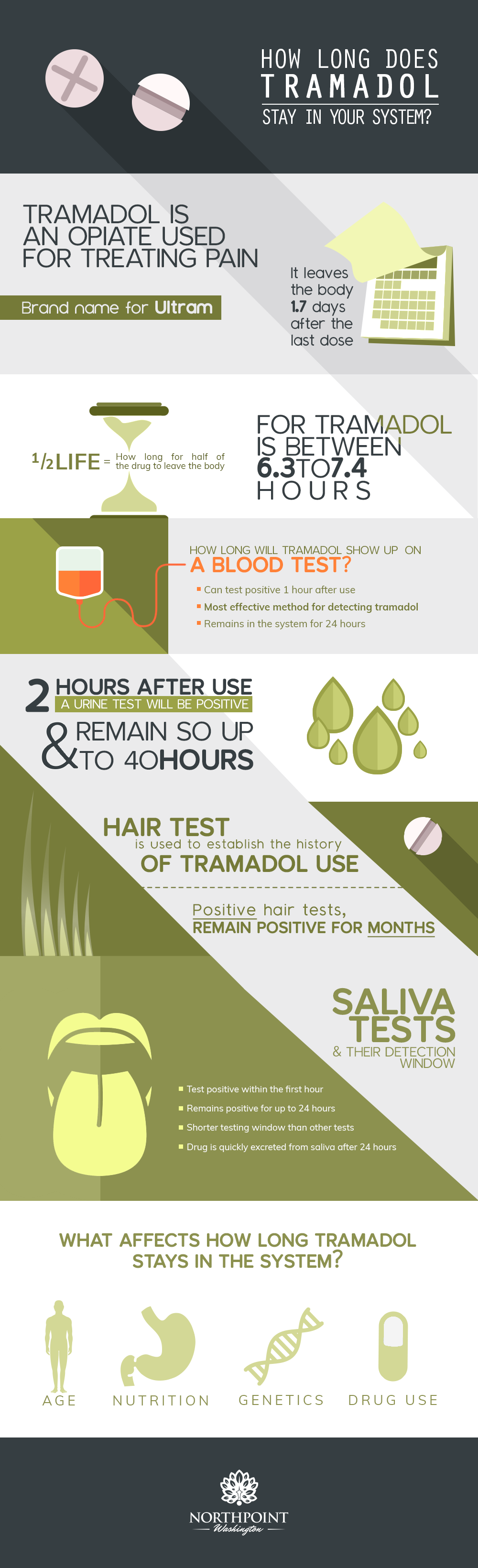 How Long Does Tramadol Remain in the System Infographic