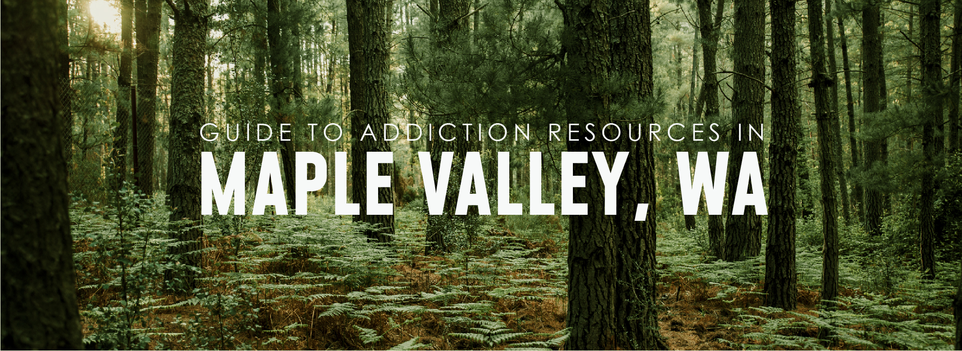 Maple Valley, Washington Addiction Header