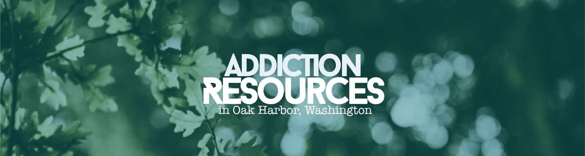 Oak harbor, WA Addiction Resources