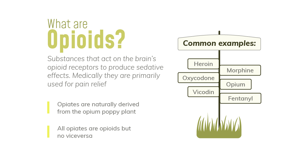 What are Opioids