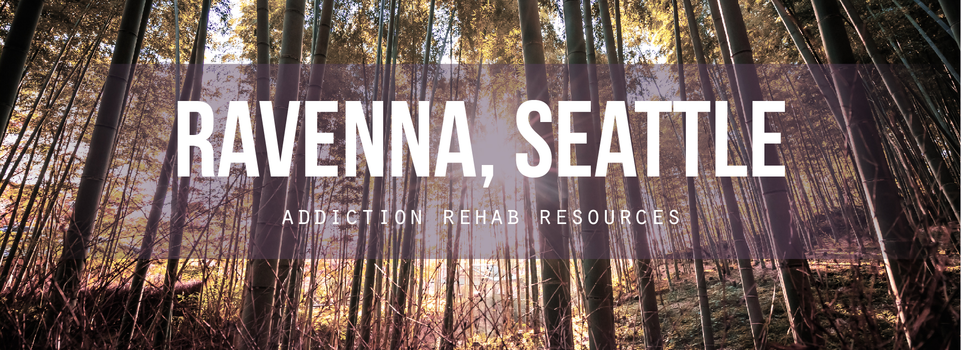 Ravenna, Washington Addiction Resources