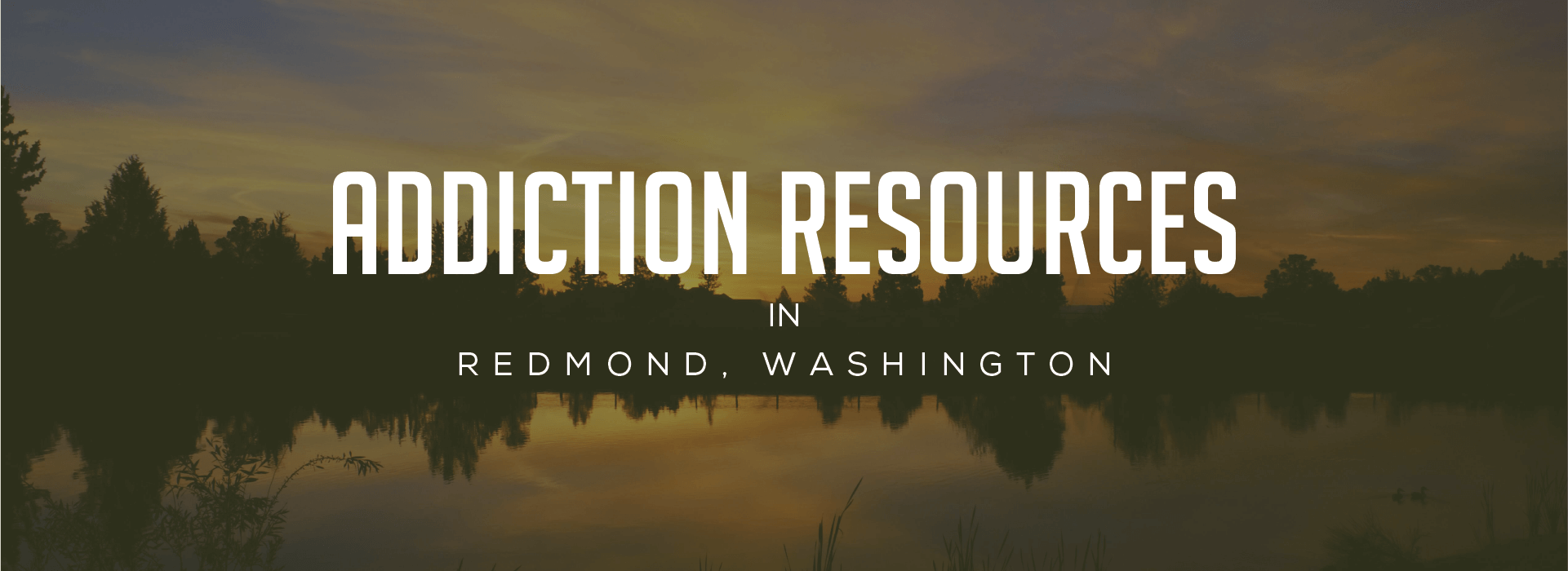 Redmond, Washington Addiction Information