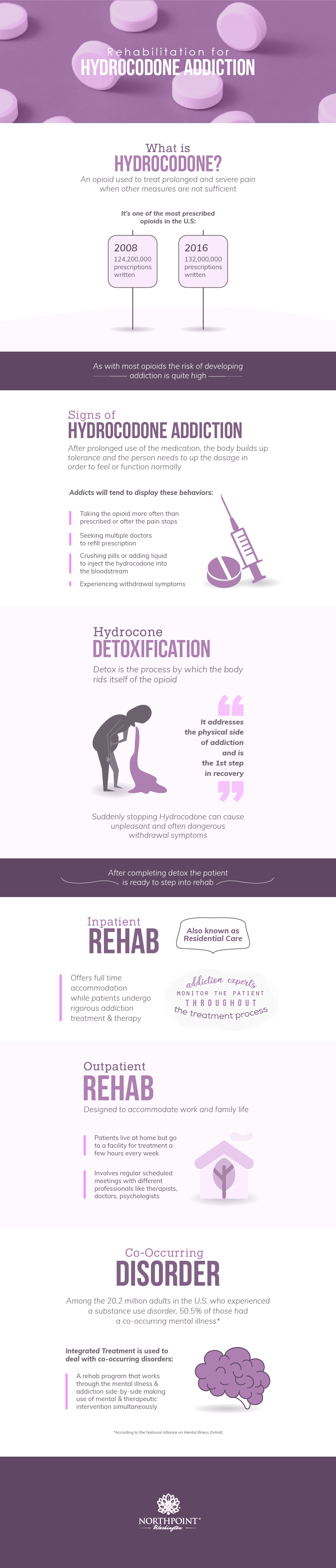 Hydrocodone Rehab Full Infographic