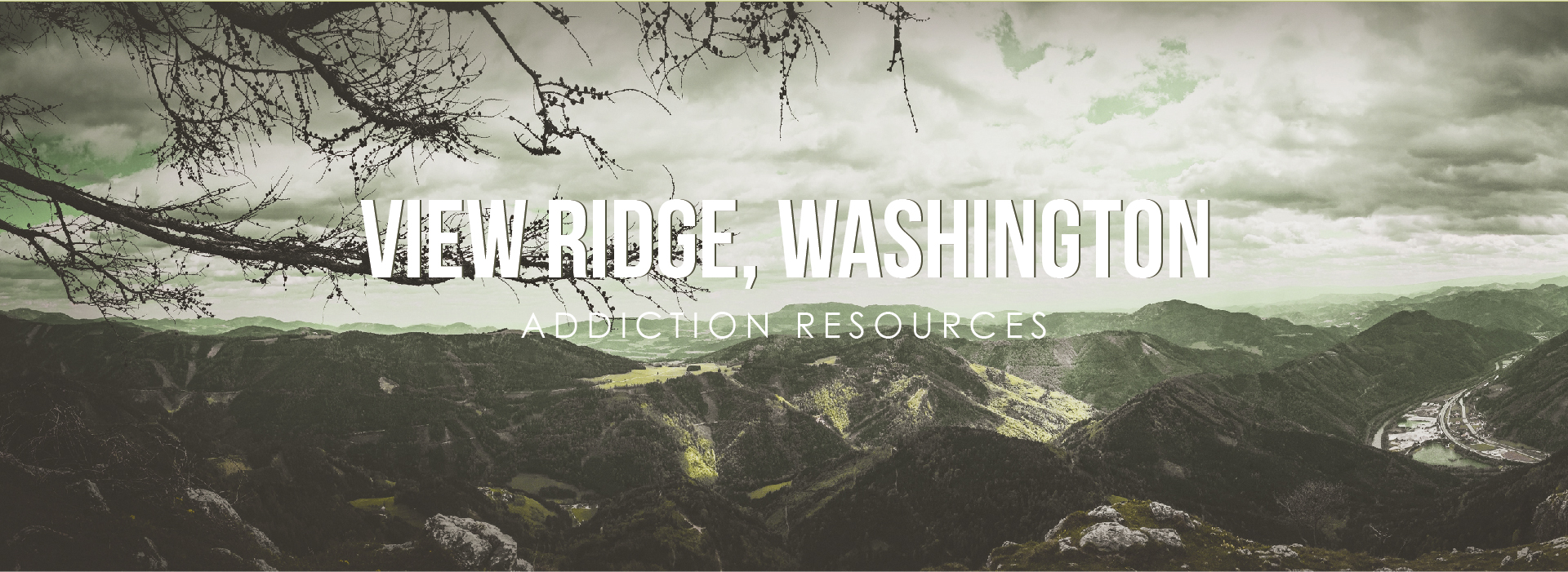 View Ridge, Washington Addiction Resources