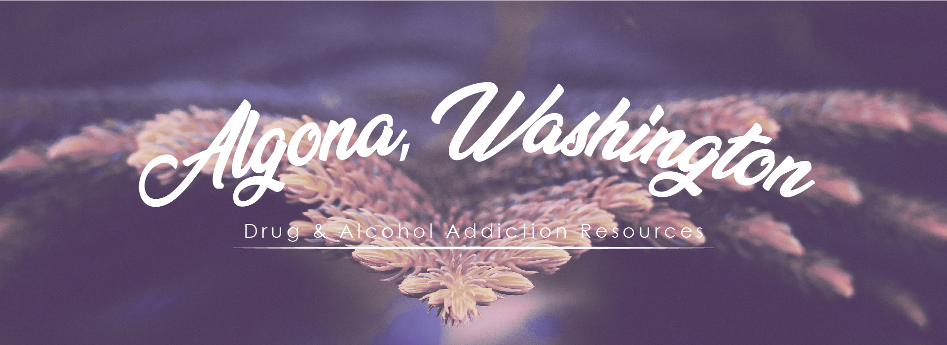 Algona, Washington addiction resources