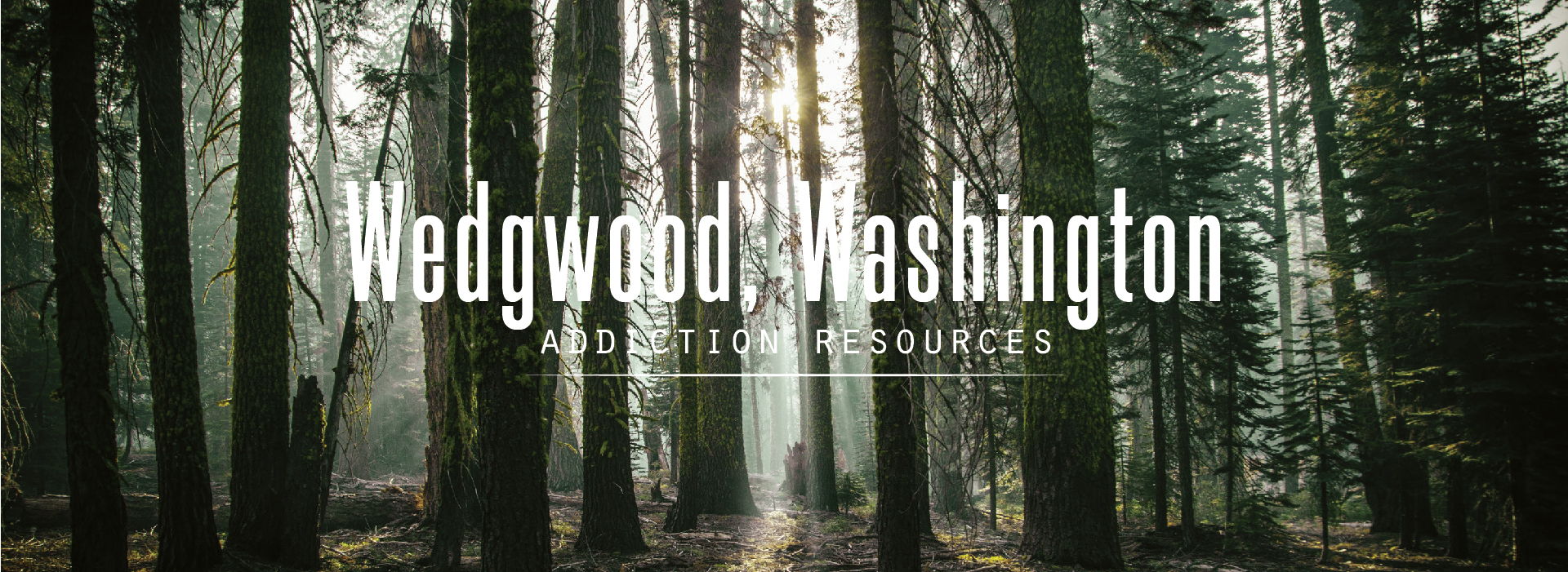 Wedgwood, Washington Addiction Resources