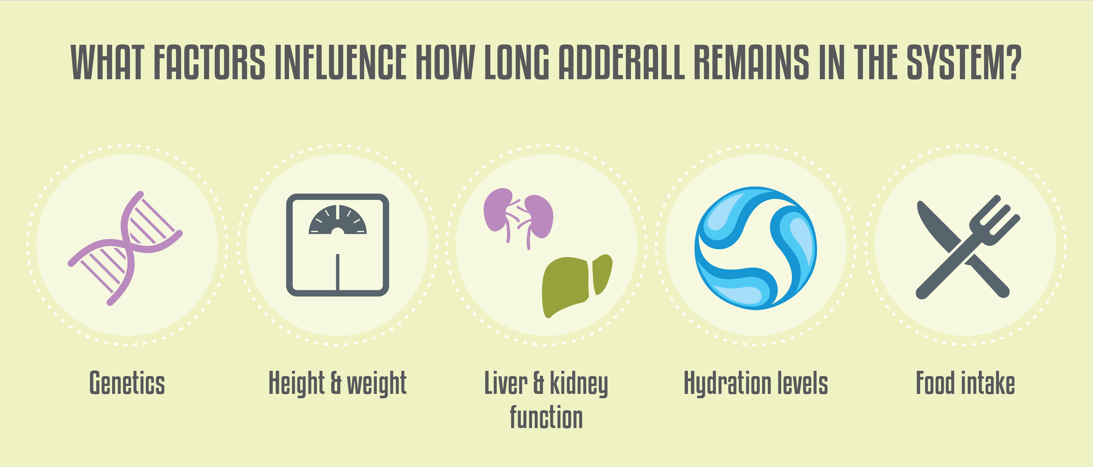 What Factors Influence How Long Adderall Remains in the System?