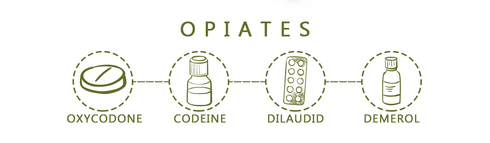 Types of Opiates