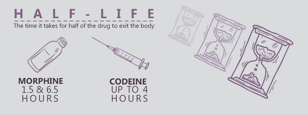 What Does the Term Half-Life Mean for Opiates?