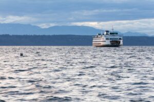 a ferry off the coast of Washington, a normal sight after finding vivitrol treatment in edmonds, wa